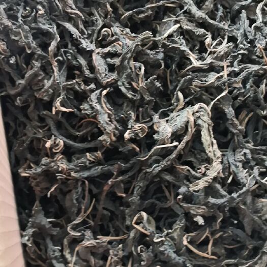 郑州干芝麻叶 18-24个月
