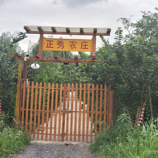  本农庄养殖散放土鸡