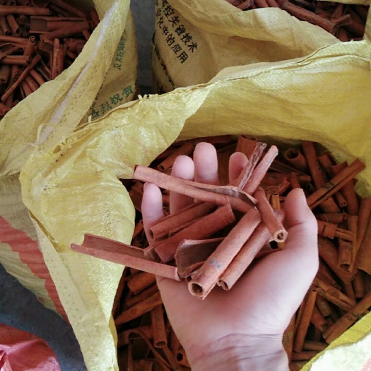 防城港 防城港桂皮，烟仔桂