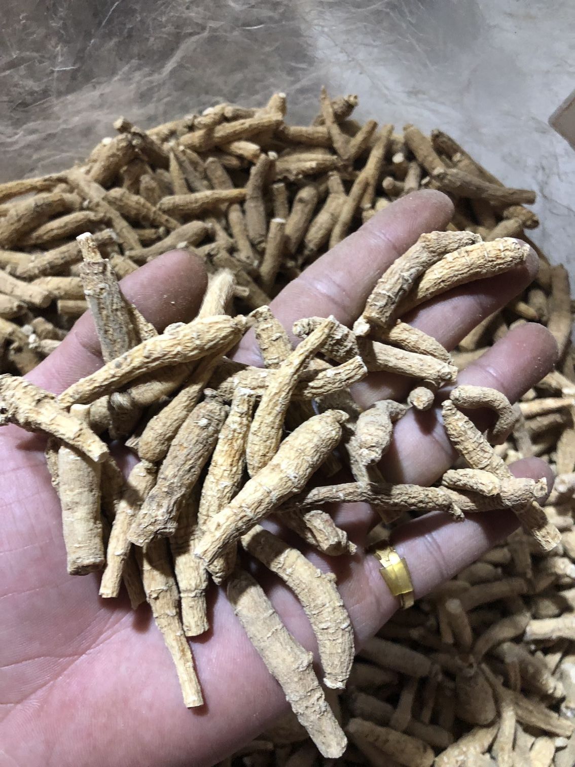  西洋参条中长条小条