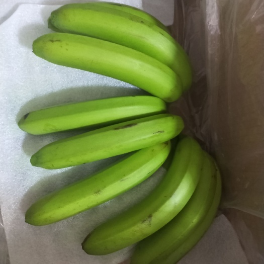  香蕉批发！大量现货！