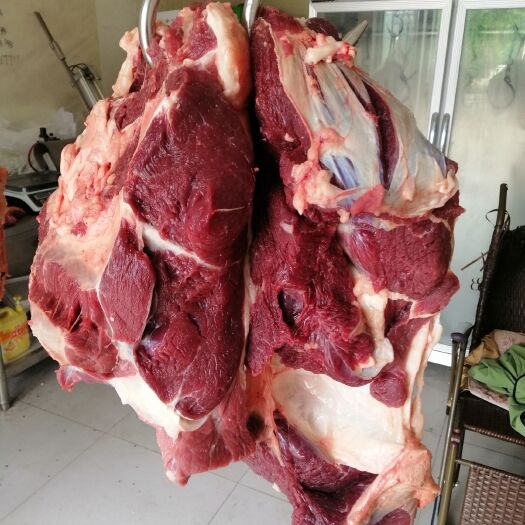  牛肉 牛前腿  牛后腿 牛后臀肉 牛四分体