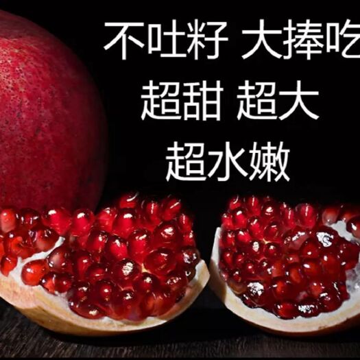 平邑县甜石榴树苗 石榴苗各种石榴苗现挖现卖，基地直发，诚信第一。