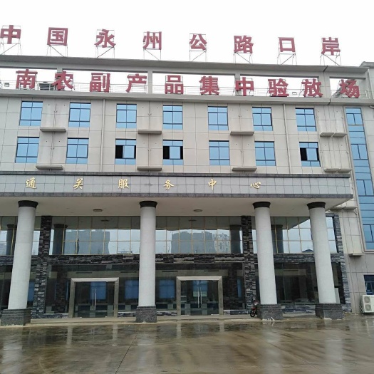 道县水田 蔬菜种植基地合作或外包