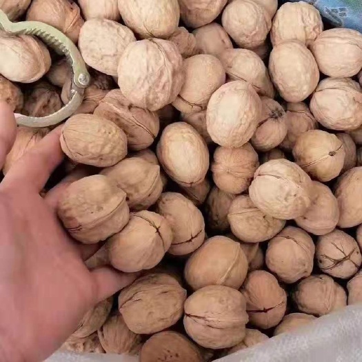 成都 新疆薄皮核桃，新2袋装批发