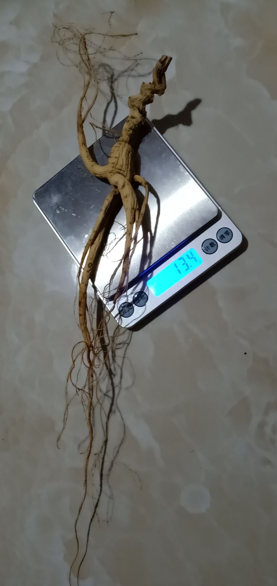 20年林下参山参 免费打粉包邮