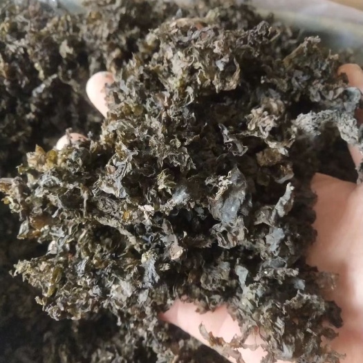 郑州地皮菜 一级