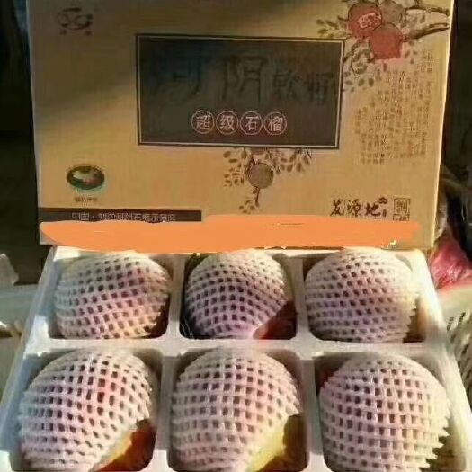 荥阳市 河阴软籽石榴