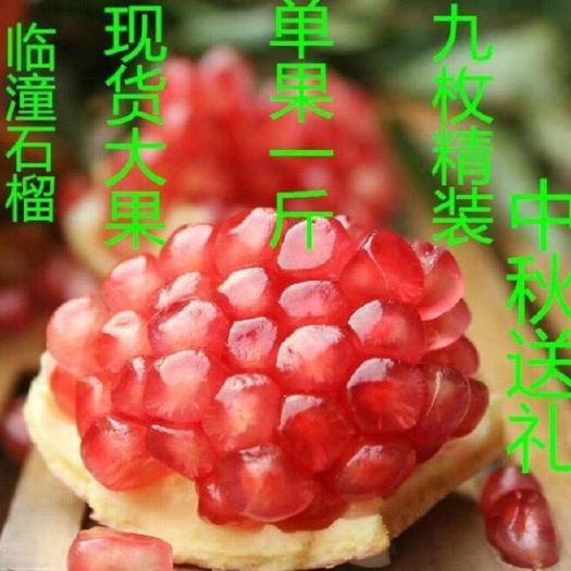 西安临潼石榴 自家果园请大家放心采购