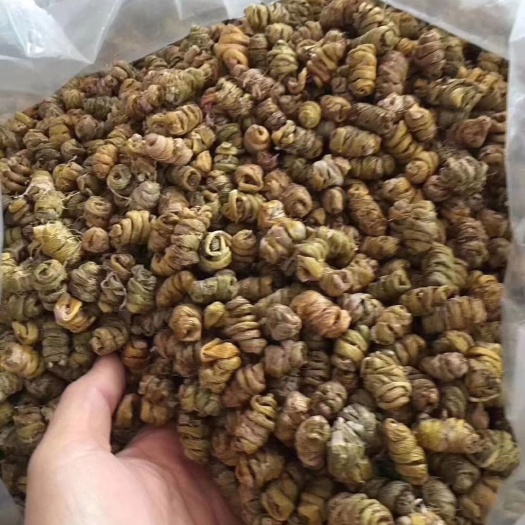 南靖县 铁皮石斛干品
