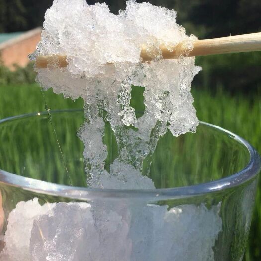 古田县 100g一瓶天然特级缅甸雪燕拉丝植物燕窝搭配雪莲子皂角米煮