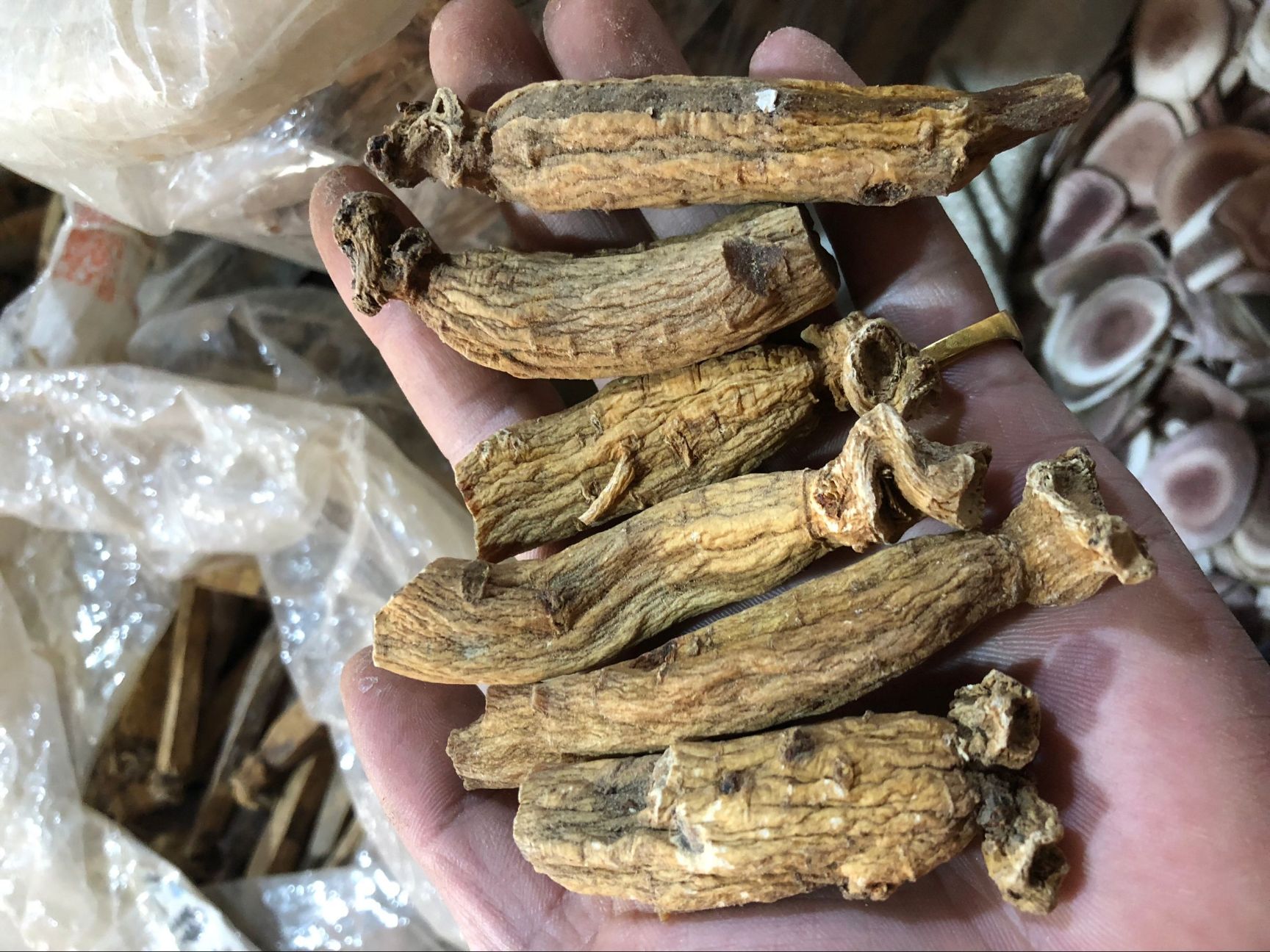  韩国高丽参菊花心精选别直参