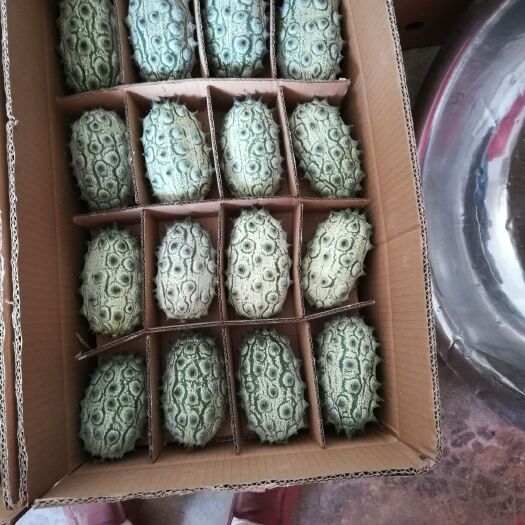巴东县 火参果