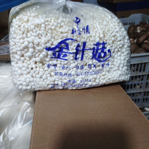 漯河 如意情金针菇量大从优