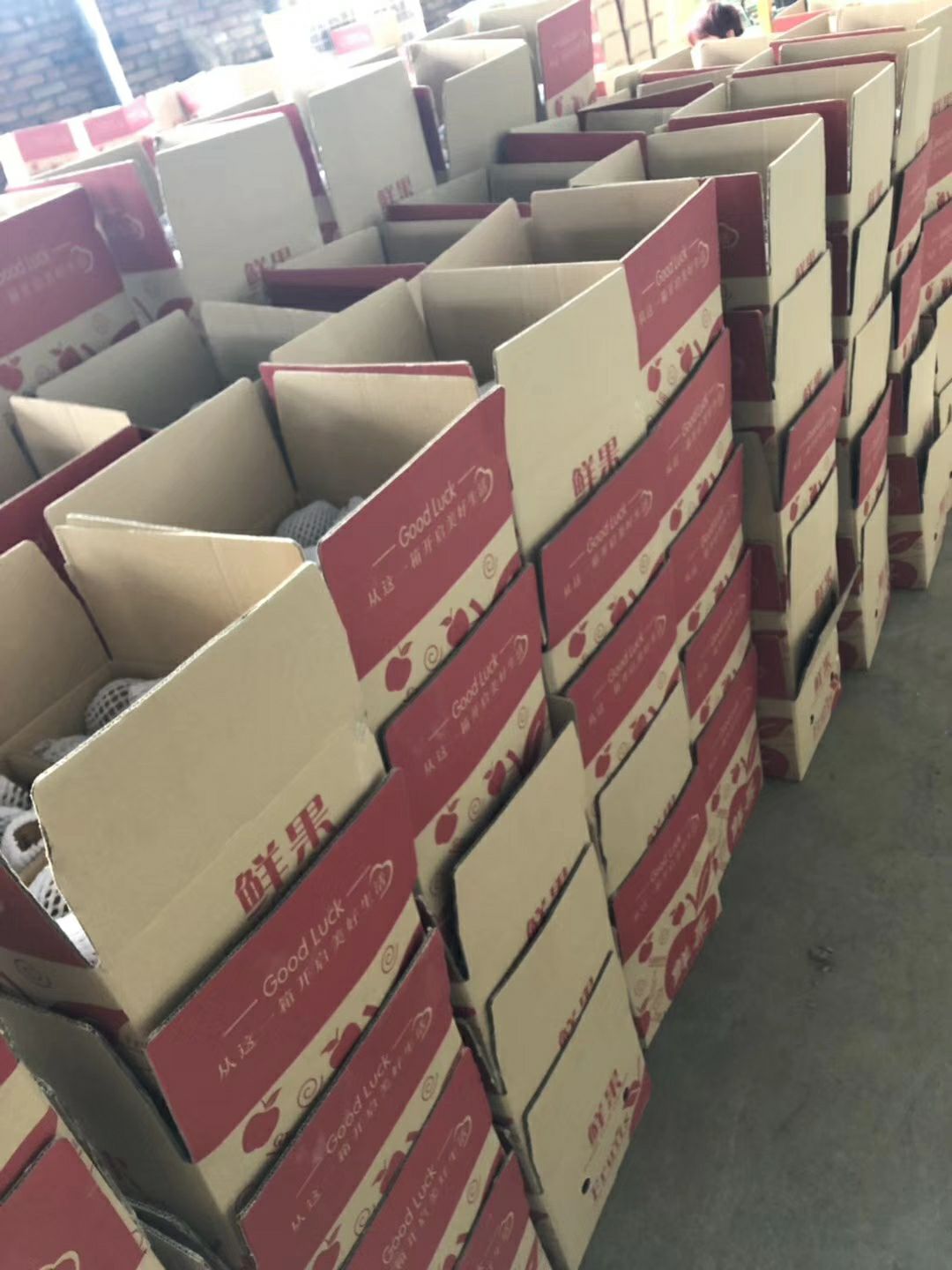 翠香猕猴桃 60~100克