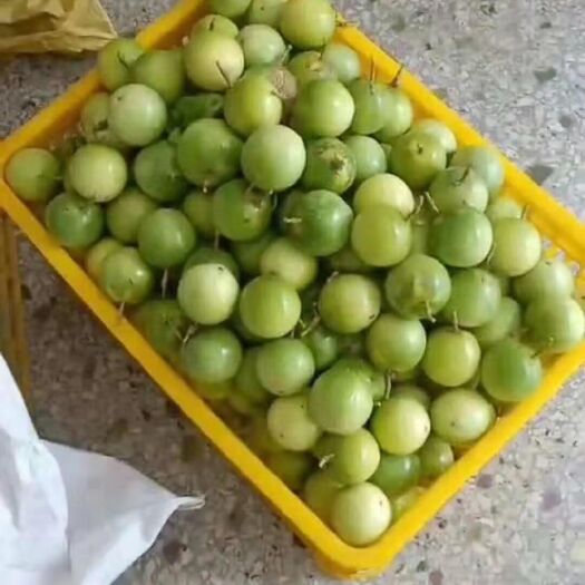 北流市 黄金百香果，芭乐味