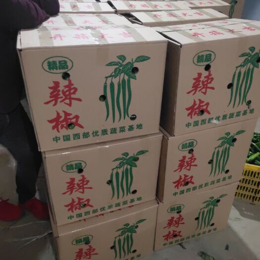 夏邑县301辣椒 夏邑301泡椒大量上市