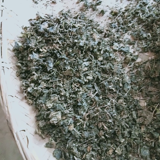 汉阴县地皮菜 野生地耳，天然绿色食品，味美色鲜，安全可靠，