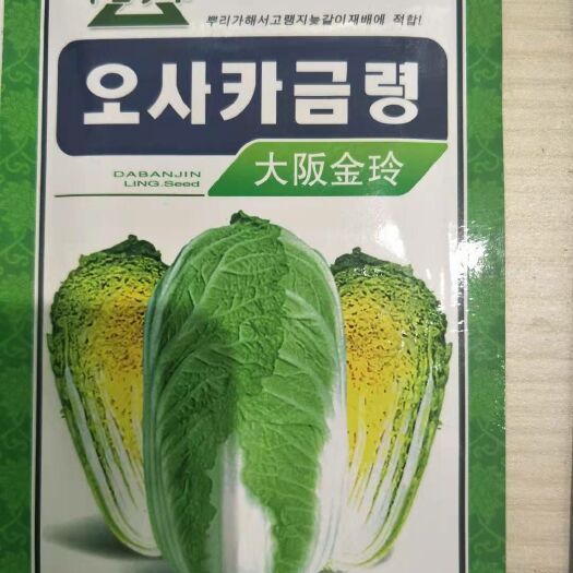 石家庄 娃娃菜种子   极早熟，耐抽苔，品质、质量有保障