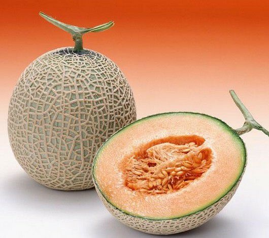 鄯善县 哈密瓜