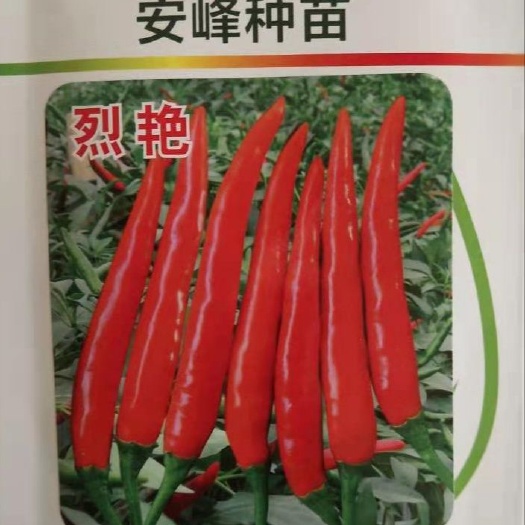 北京艳红辣椒种子 杂交种 ≥99%