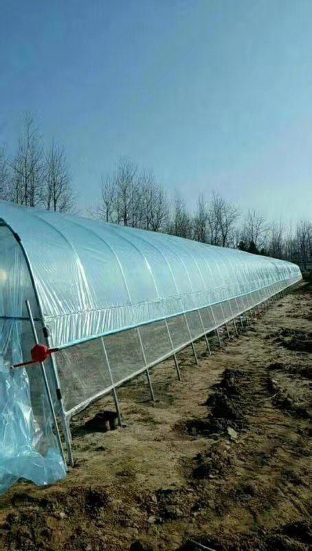 长兴县种植大棚 经济实惠适用广泛的种植棚