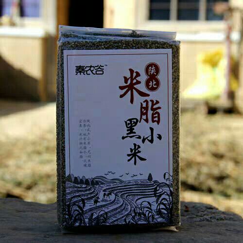 黑小米 陕北米脂买五送一