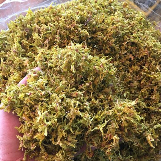 文山市 铁皮石斛花鼓槌石斛花石斛枫斗霍山云南鲜条