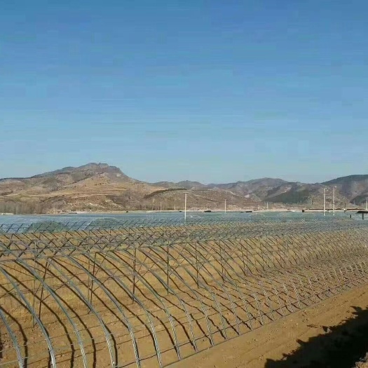 菏泽椭圆管骨架 大棚椭圆骨架及大棚配件