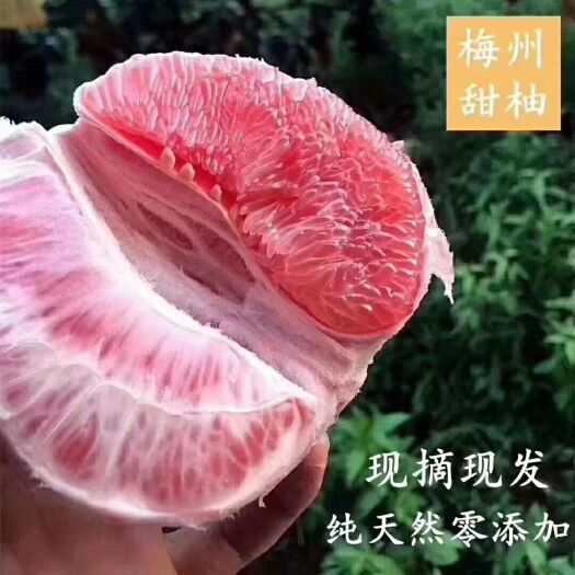 梅州梅州红肉蜜柚，三红柚