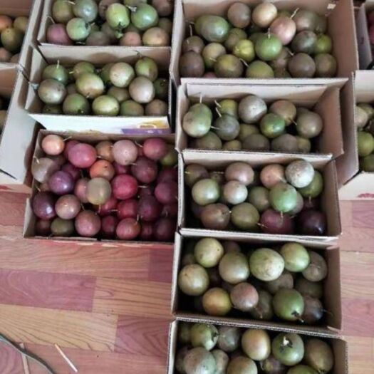 芒市紫色百香果 80 - 90克