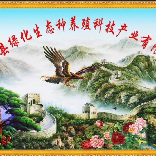 平塘县 平塘县绿化生态种养殖科技产业脱温大三花鹅苗