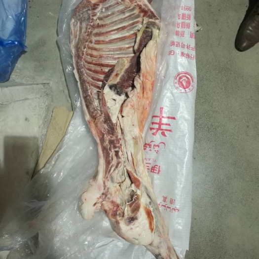 沈阳白条羊 新疆草饲羊