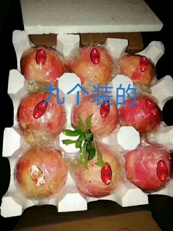  永红火晶柿子，石榴