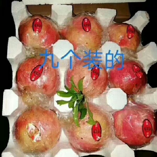 西安 永红火晶柿子，石榴