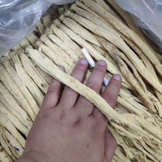 陇西县白条党参 甘肃产地直发，  多说无益  看质量，看价格 诚意第一