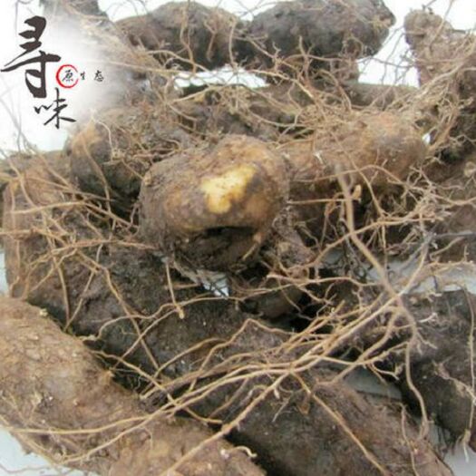 山阳县 植物叫“黄姜”，又名“火头根”，中文名为盾叶薯蓣