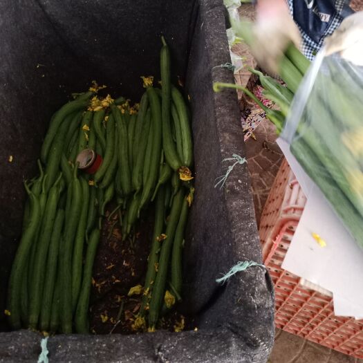 寿光市鲜花丝瓜