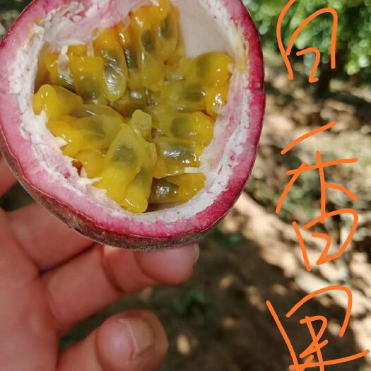 北流市 百香果满10箱5斤装一箱