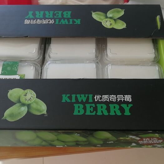 瓦房店市 奇异莓(软枣猕猴桃)合作社整箱批发渠道供货