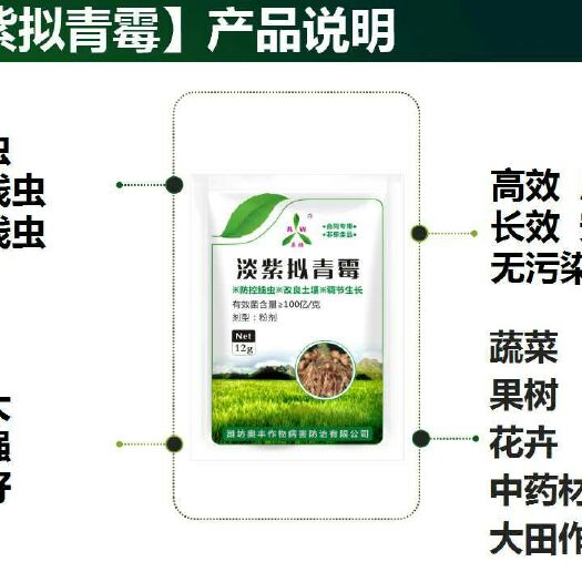 潍坊 淡紫拟青霉 果树蔬菜根结线虫专用
