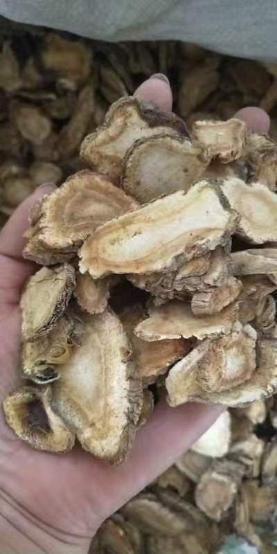 安国市正品无硫祁白芷新货（选统片）产地直销 批发零售 一公斤包邮