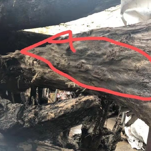 上栗县 金丝楠木阴沉木，整根的，3000年以上