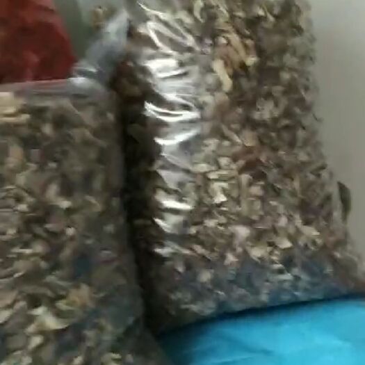 交城县 纯野生蘑菇木耳羊肚菌