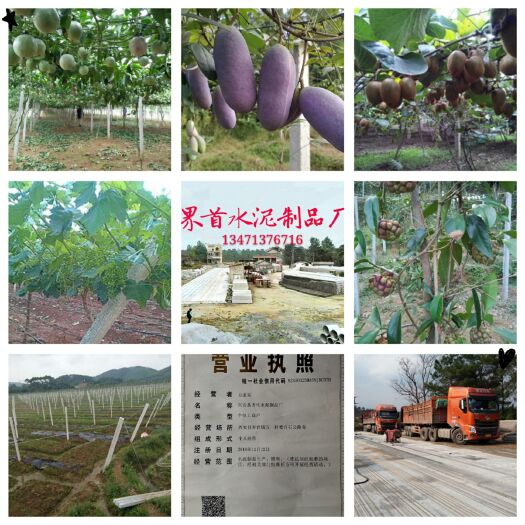 全州县立柱  热销百香果猕猴桃八月瓜葡萄黑老虎罗汉果瓜蒌火龙果棚架