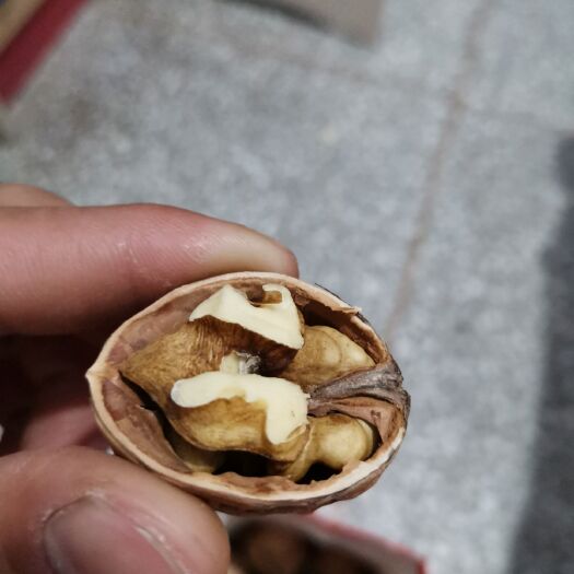 滑县 河南安阳薄皮核桃