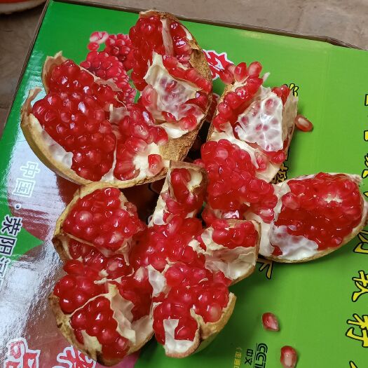 荥阳市 荥阳宊尼斯软籽石榴