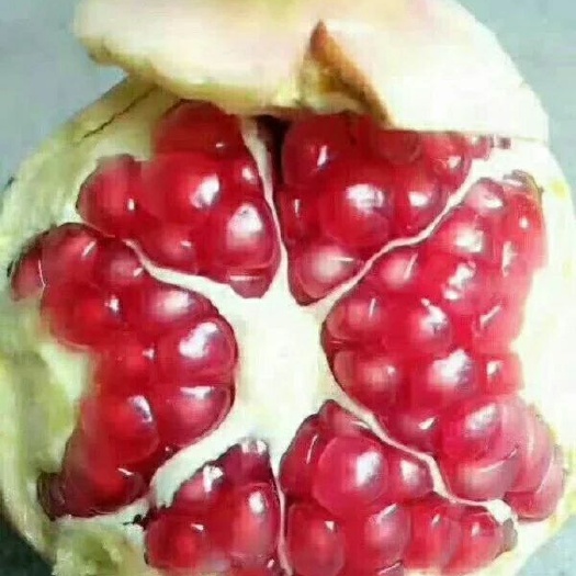 西安 临潼果农自营石榴