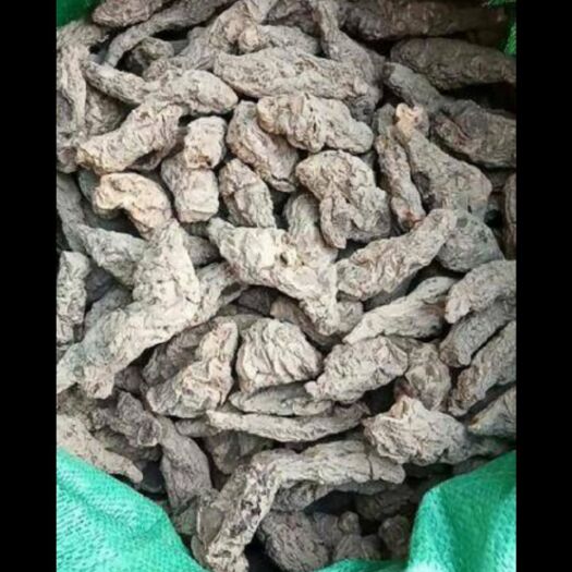 孟州市 自家种植生地黄，现货20吨有意联系