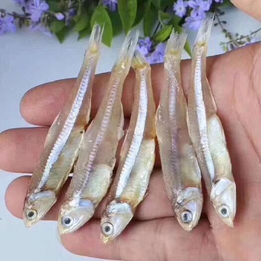 广州 深海天然小鱼干，好吃好卖，保证新鲜！